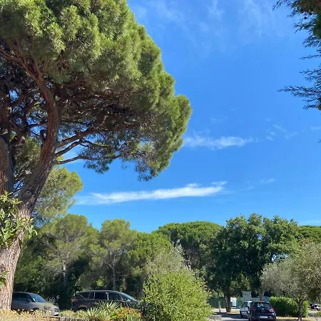 Domaine Valescure 1 Ou 2 Pieces Vue Jardin Ou Piscine * Saint-Raphaël