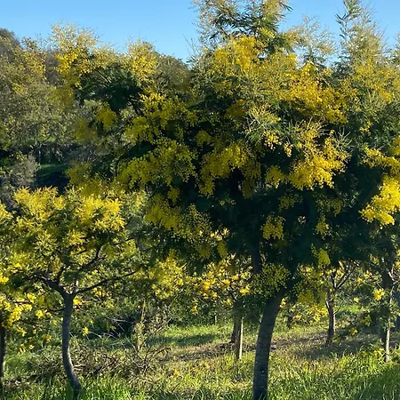 Appartement Domaine Valescure 1 Ou 2 Pieces Vue Jardin Ou Piscine Saint-Raphaël