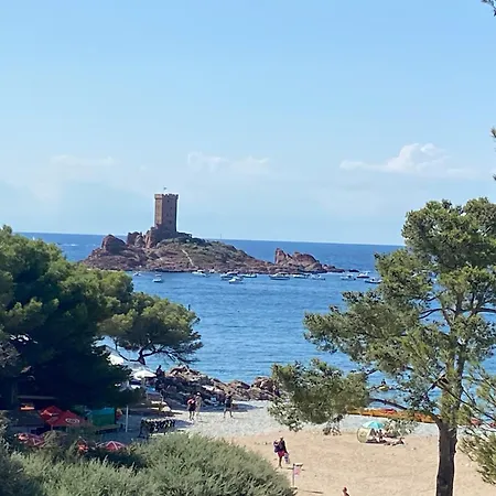 Domaine Valescure 1 Ou 2 Pieces Vue Jardin Ou Piscine Appartement