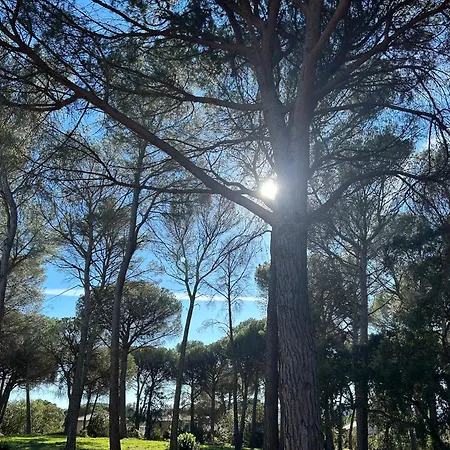 Domaine Valescure 1 Ou 2 Pieces Vue Jardin Ou Piscine Saint-Raphaël