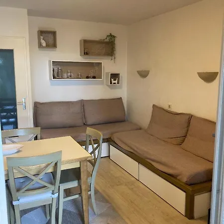 Appartement Domaine Valescure 1 Ou 2 Pieces Vue Jardin Ou Piscine