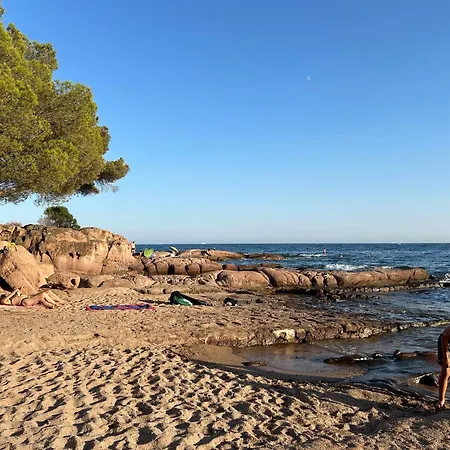 Appartement Domaine Valescure 1 Ou 2 Pieces Vue Jardin Ou Piscine