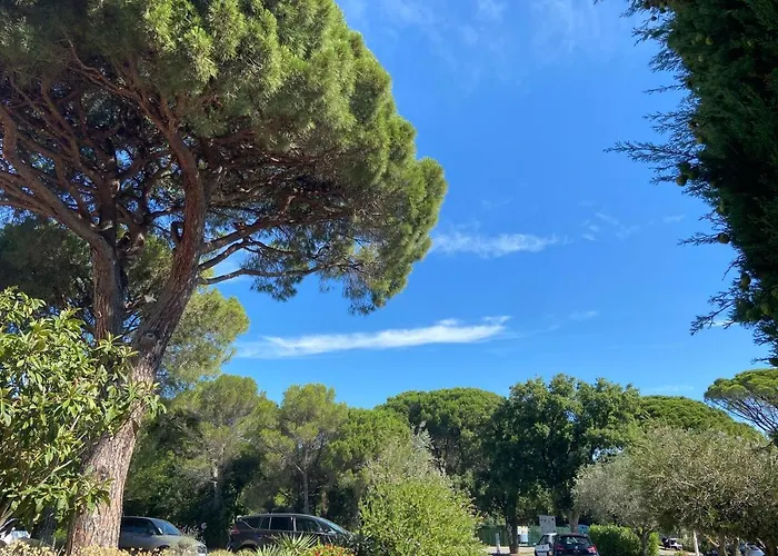 Domaine Valescure 1 Ou 2 Pieces Vue Jardin Ou Piscine * Saint-Raphaël