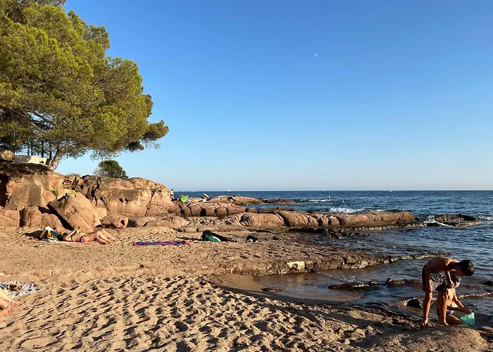 Διαμέρισμα Domaine Valescure 1 Ou 2 Pieces Vue Jardin Ou Piscine