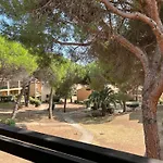 Appartement Domaine Valescure 1 Ou 2 Pieces Vue Jardin Ou Piscine