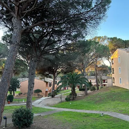 Domaine Valescure 1 Ou 2 Pieces Vue Jardin Ou Piscine *