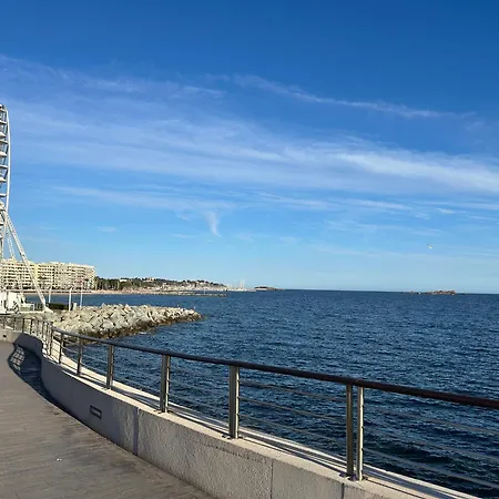 Domaine Valescure 1 Ou 2 Pieces Vue Jardin Ou Piscine