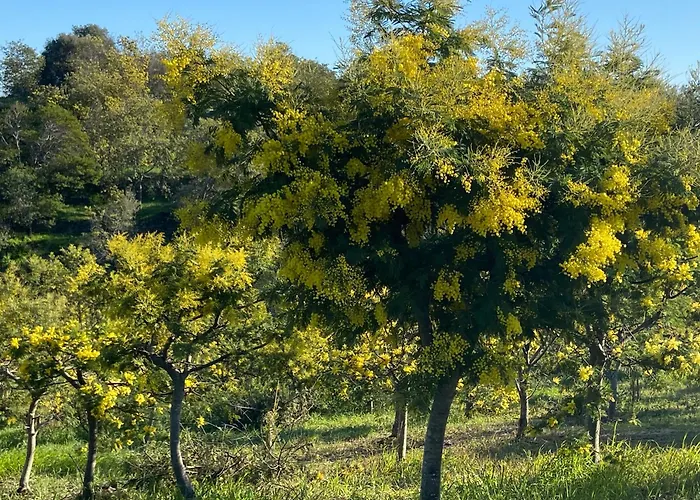 アパート Domaine Valescure 1 Ou 2 Pieces Vue Jardin Ou Piscine Saint-Raphaël