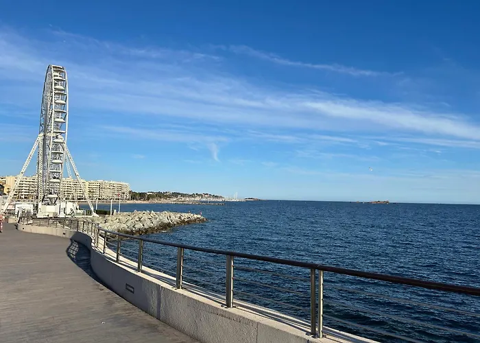 Domaine Valescure 1 Ou 2 Pieces Vue Jardin Ou Piscine