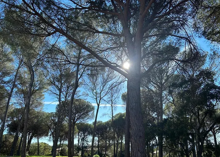 Domaine Valescure 1 Ou 2 Pieces Vue Jardin Ou Piscine Saint-Raphaël