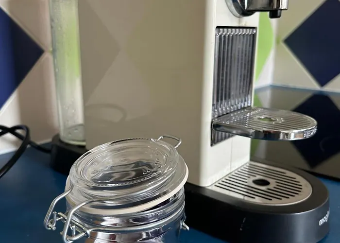 Domaine Valescure 1 Ou 2 Pieces Vue Jardin Ou Piscine アパート *