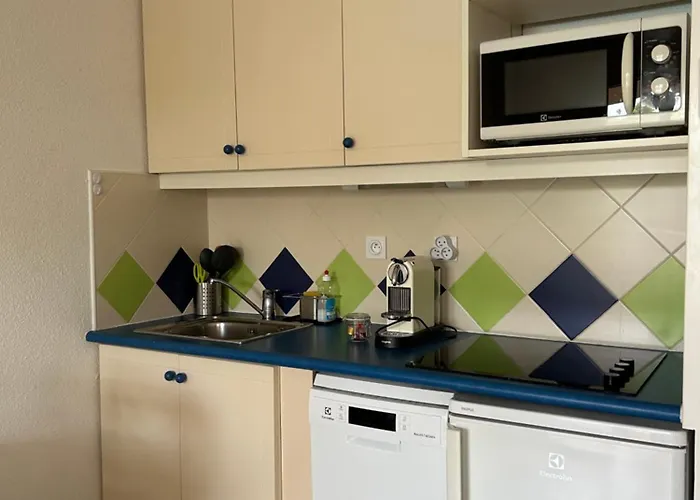 Domaine Valescure 1 Ou 2 Pieces Vue Jardin Ou Piscine